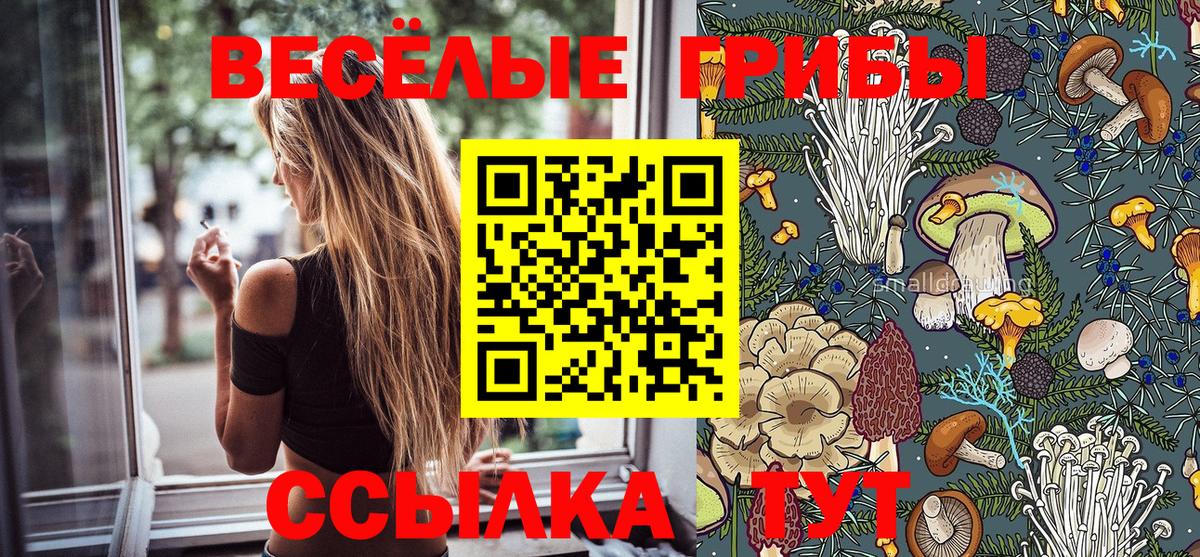 Псилоцибиновые грибы MAGIC MUSHROOMS Апрелевка