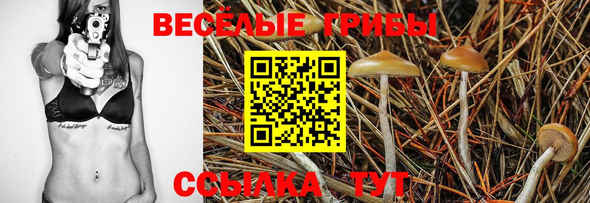 Апрелевка  Псилоцибиновые грибы GOLDEN TEACHER  купить  цена  Вход с VPN 